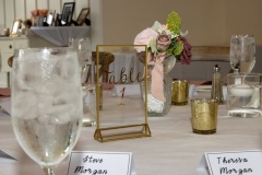 Photography for Vital Image